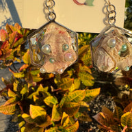 Barnacles Dressed to Party