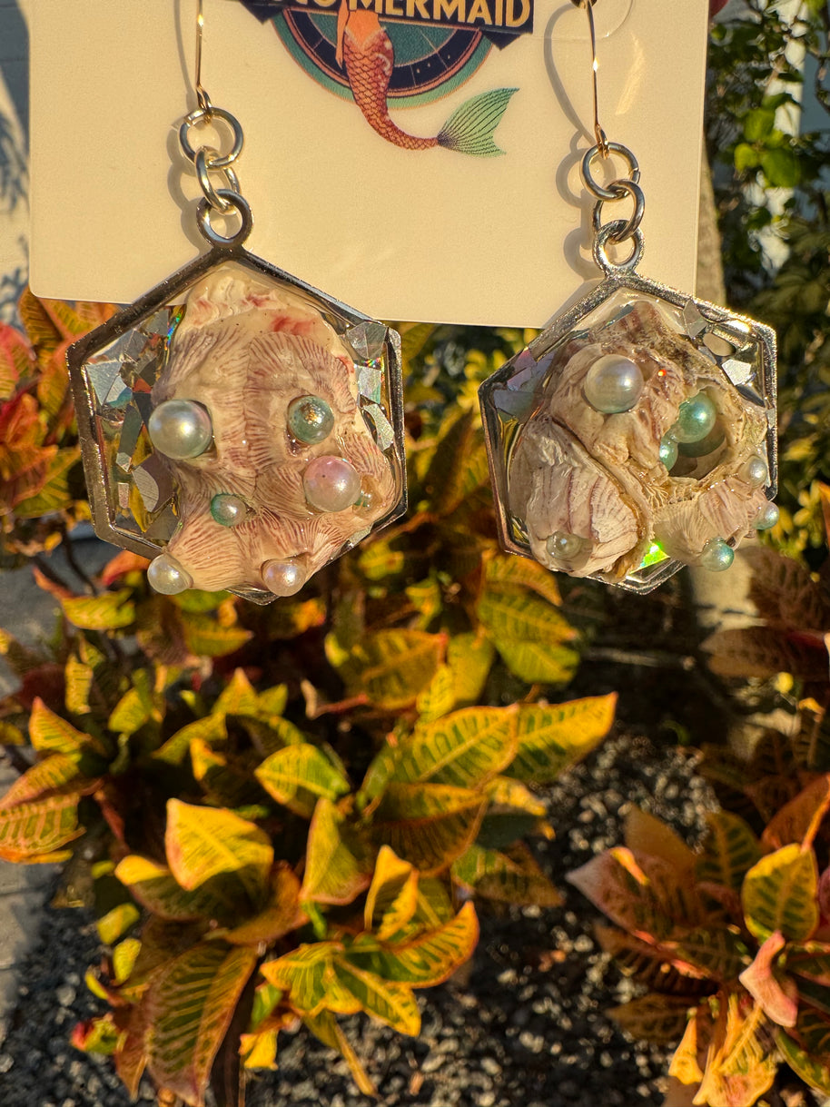 Barnacles Dressed to Party