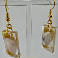 Gold Dance Coquinas