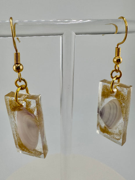 Gold Dance Coquinas