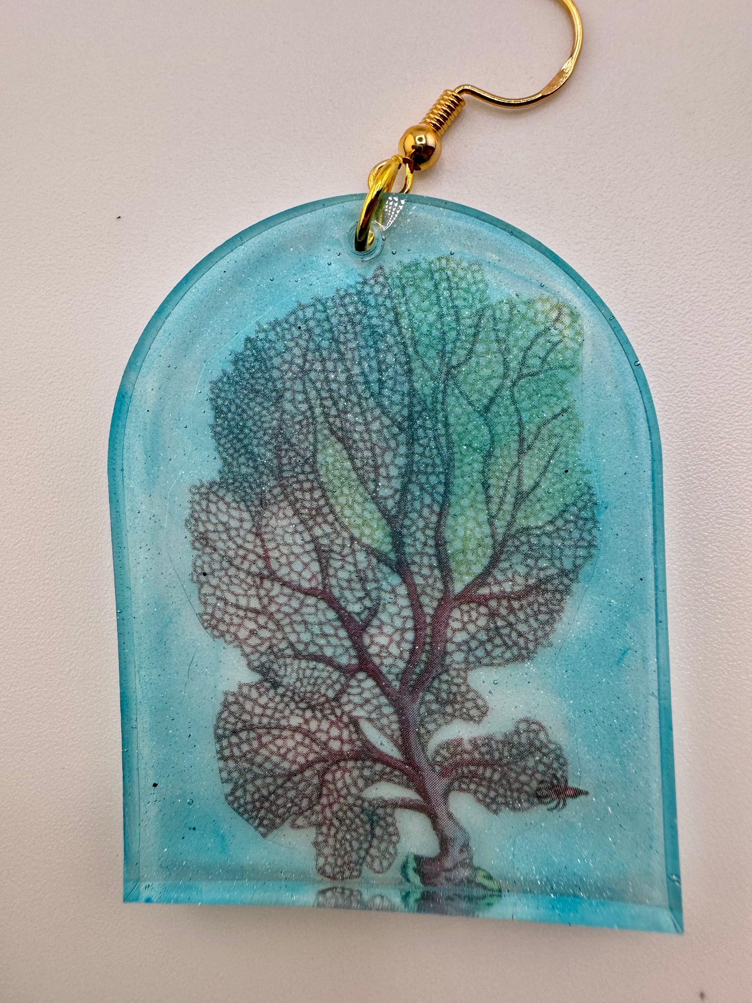 Coral Vs. Trees