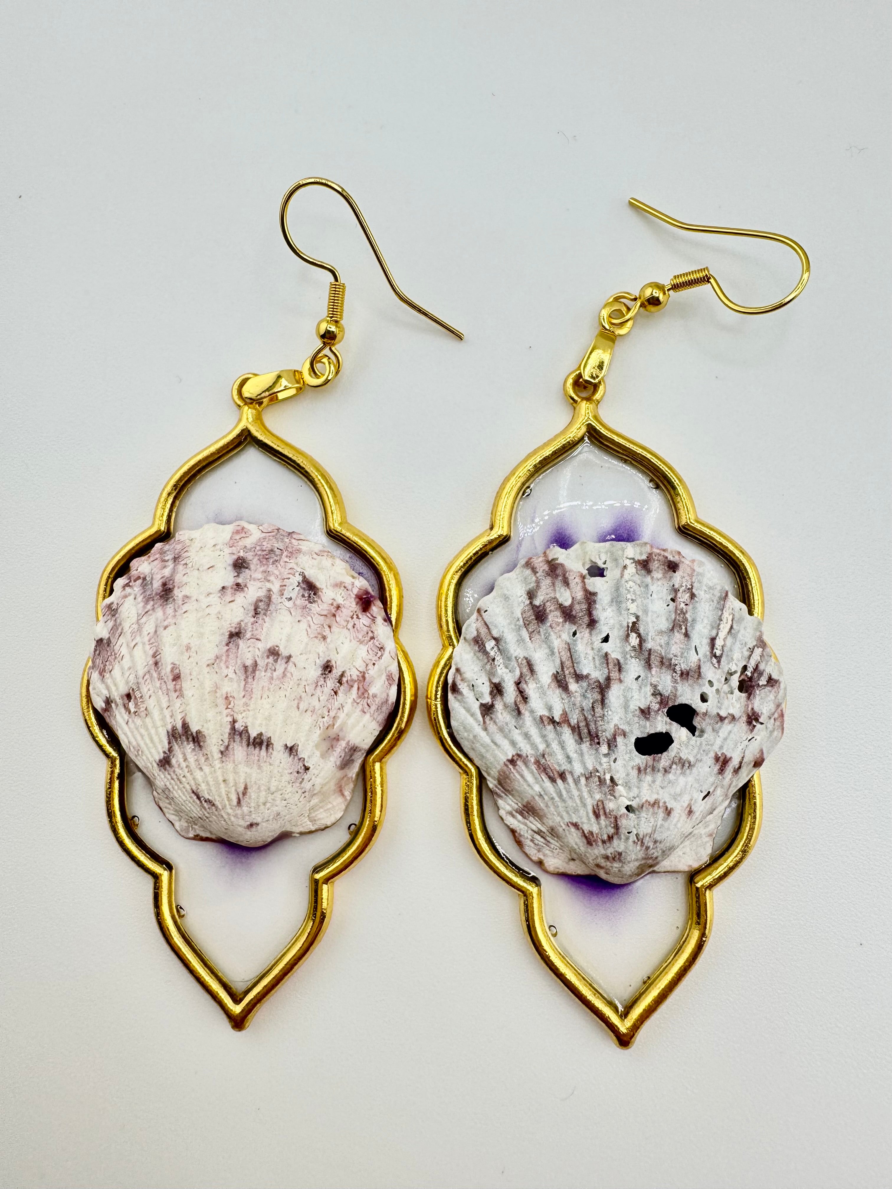 Purple Scallops