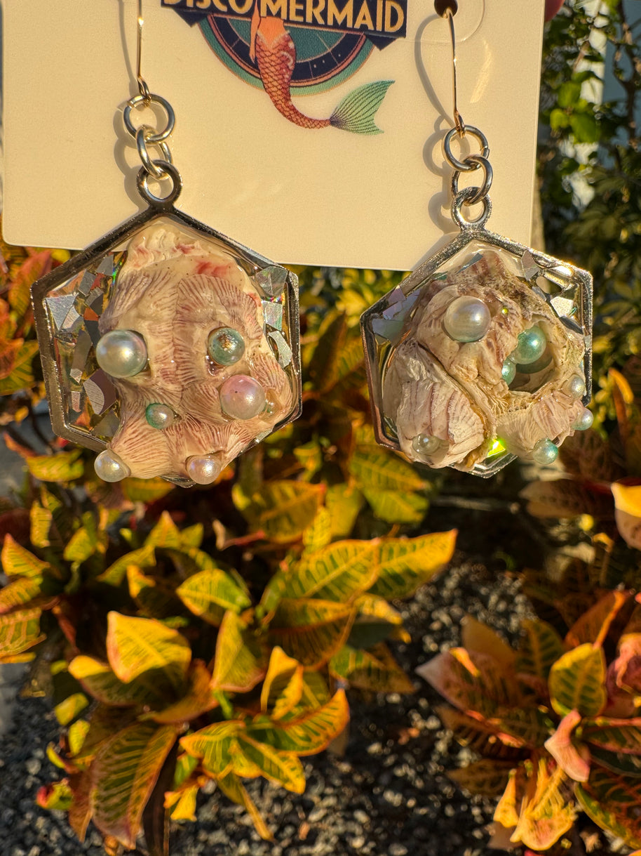 Barnacles Dressed to Party