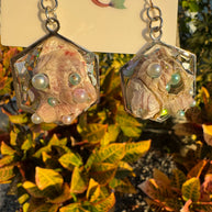 Barnacles Dressed to Party