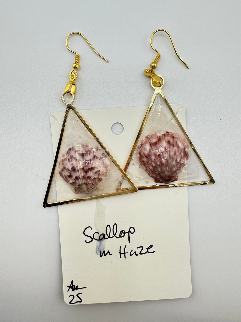 Scallop in Haze