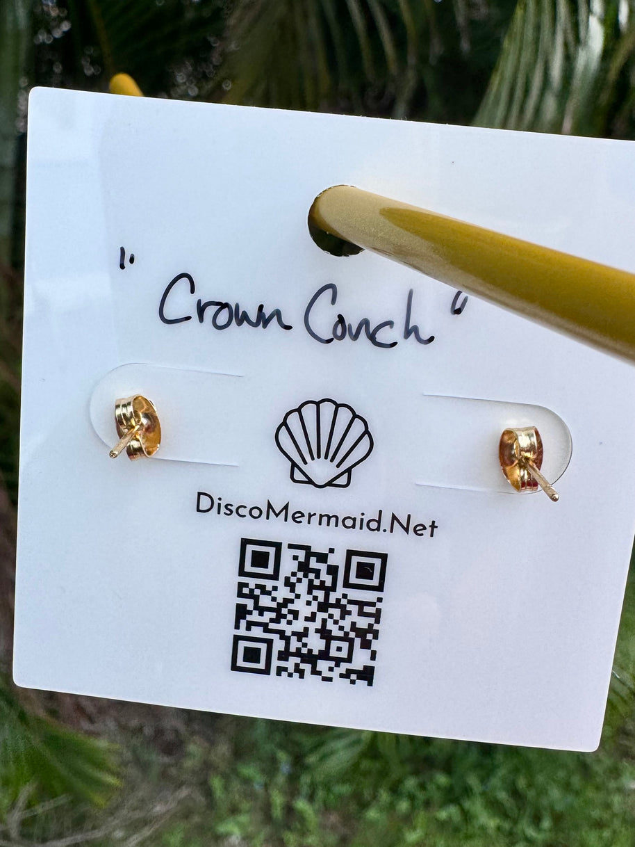 Crown Conch