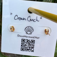 Crown Conch