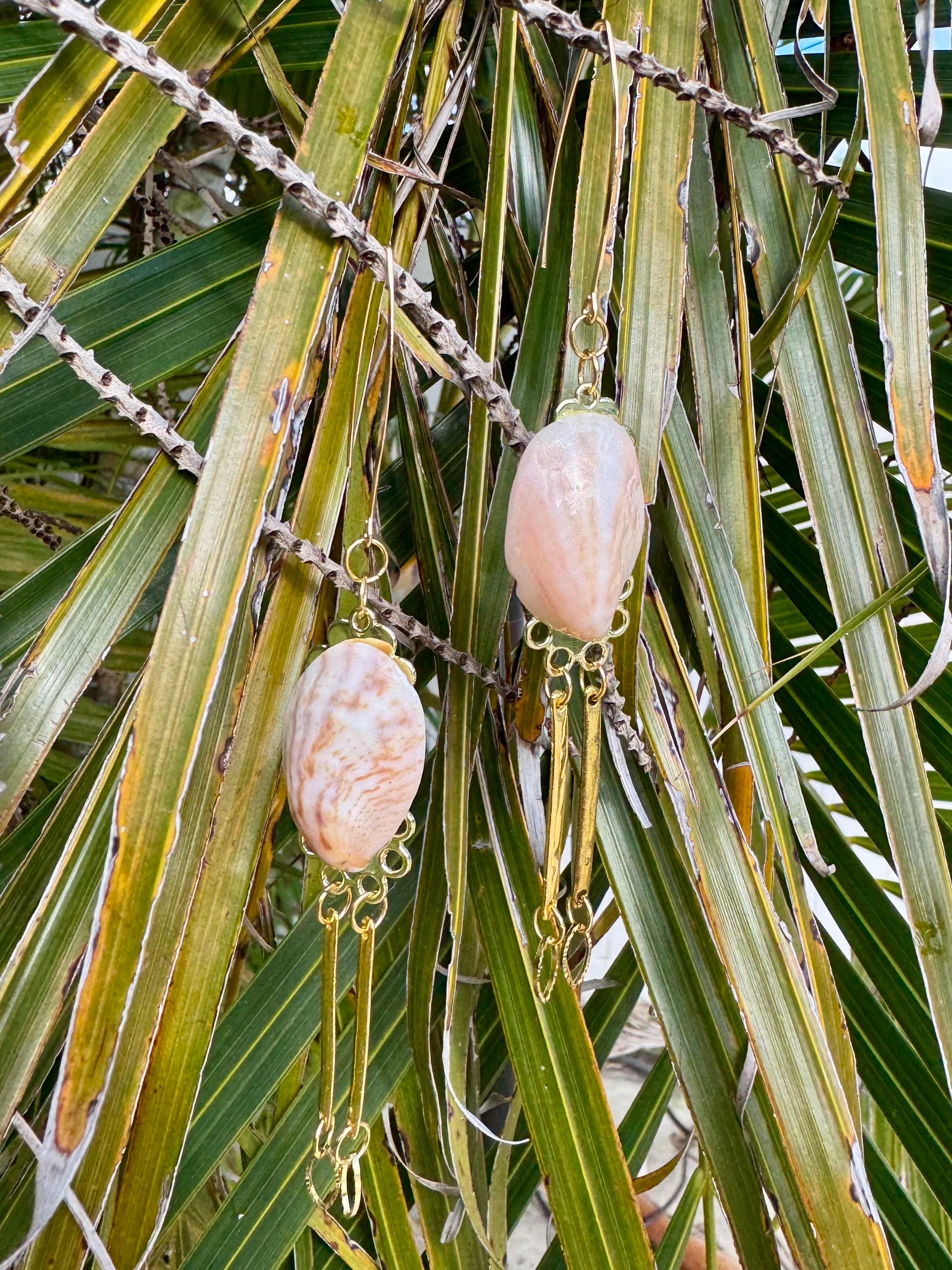 Dancing Slippersnails