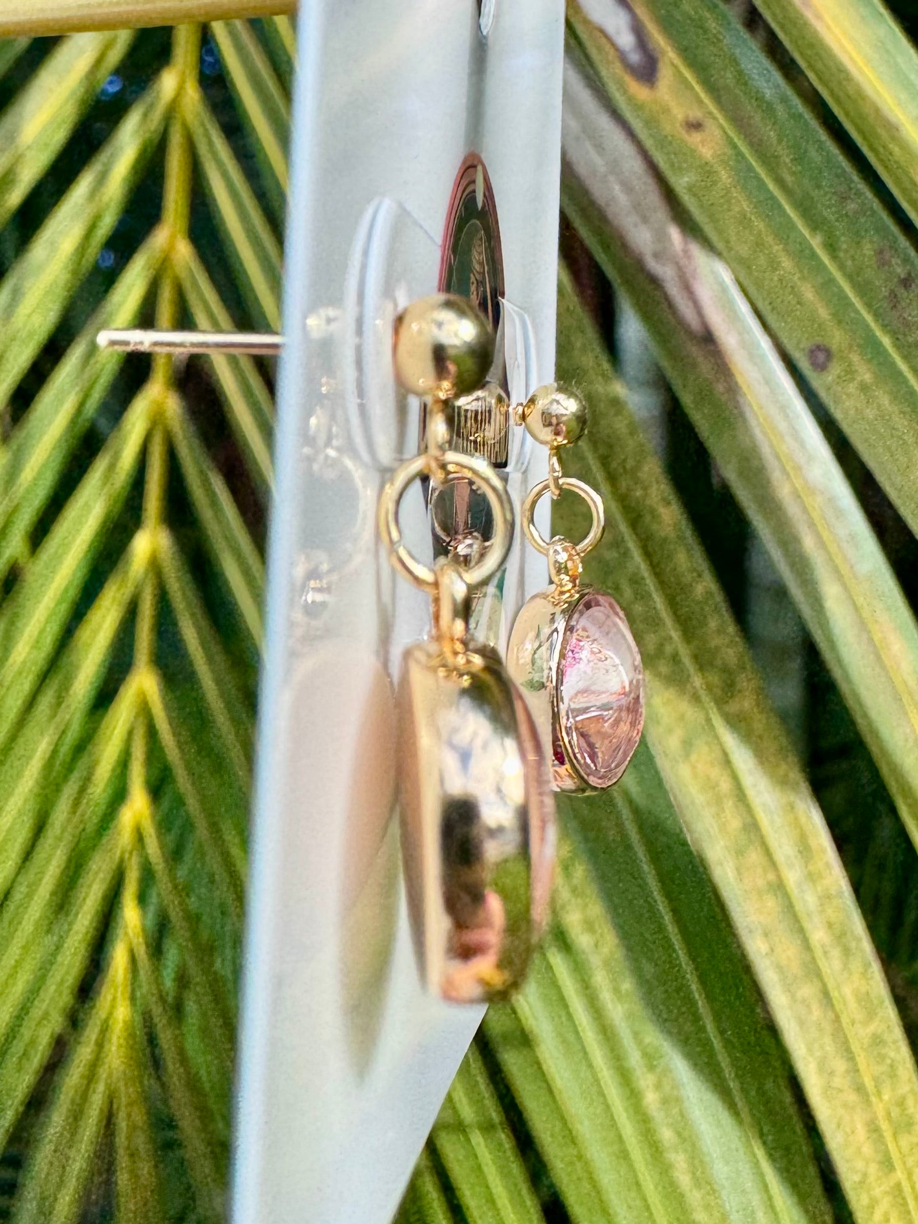 Crown Conch