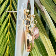 Crown Conch