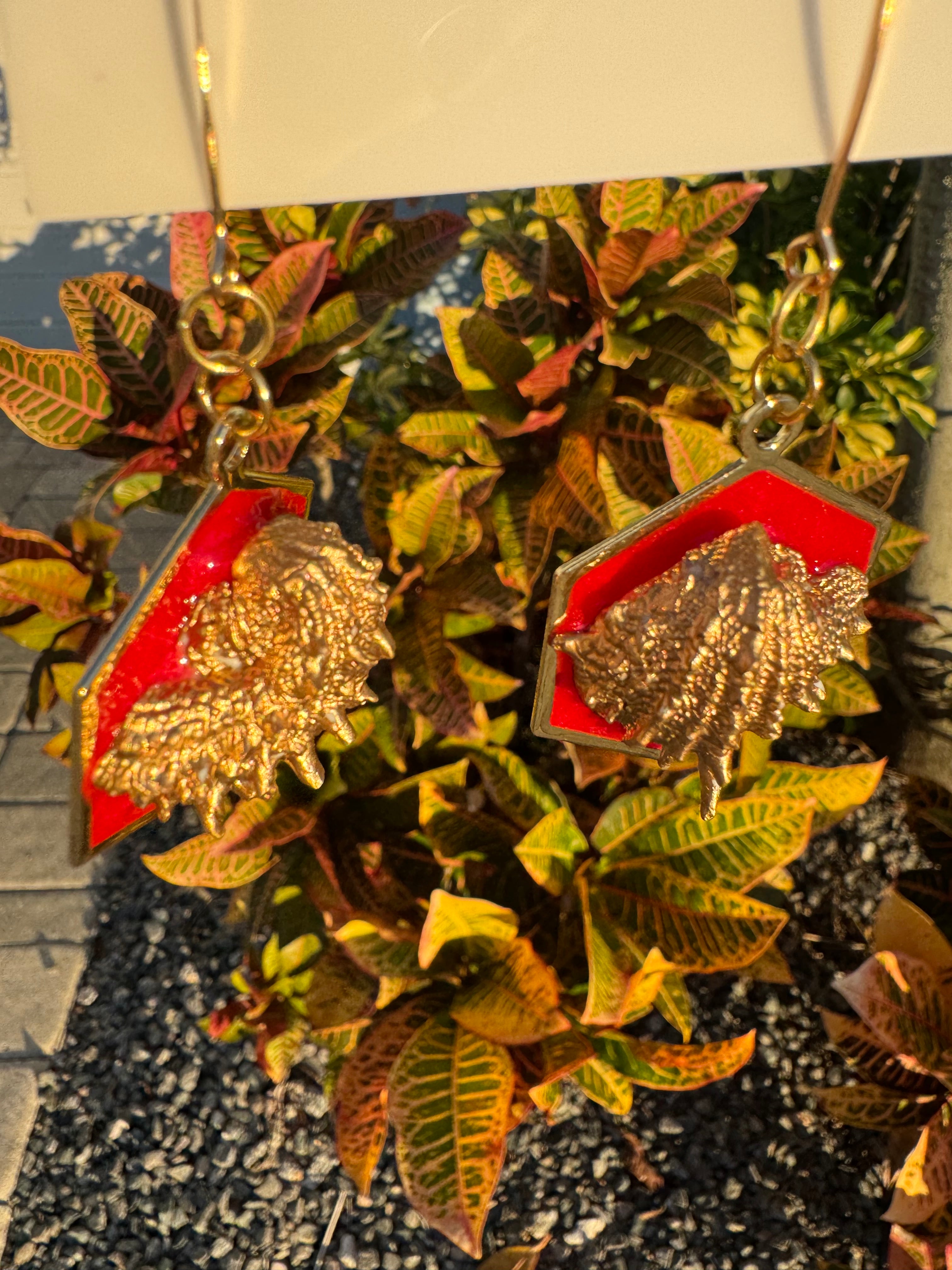 Red and Gold Spiny