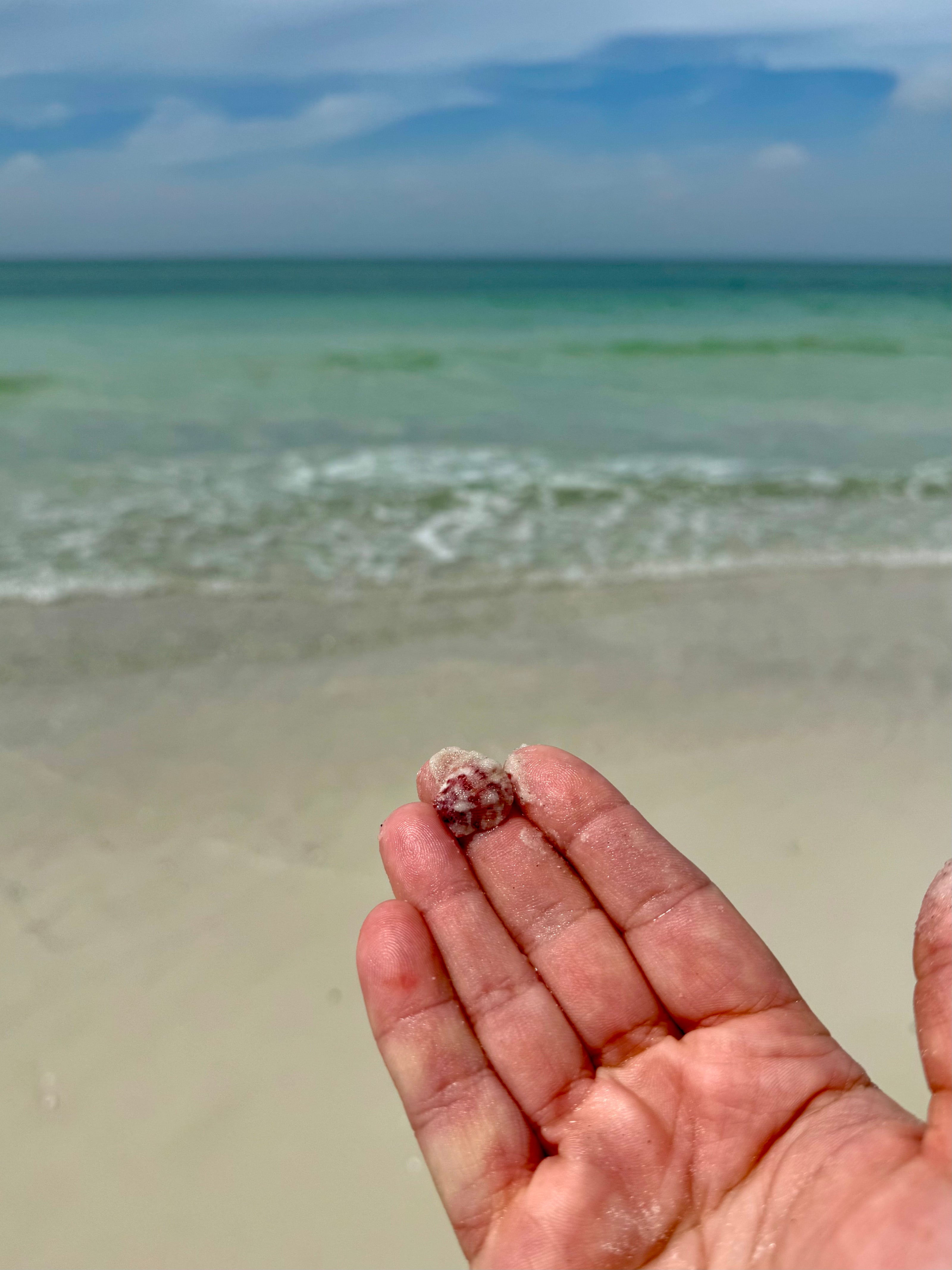 They Have an Energy to Them