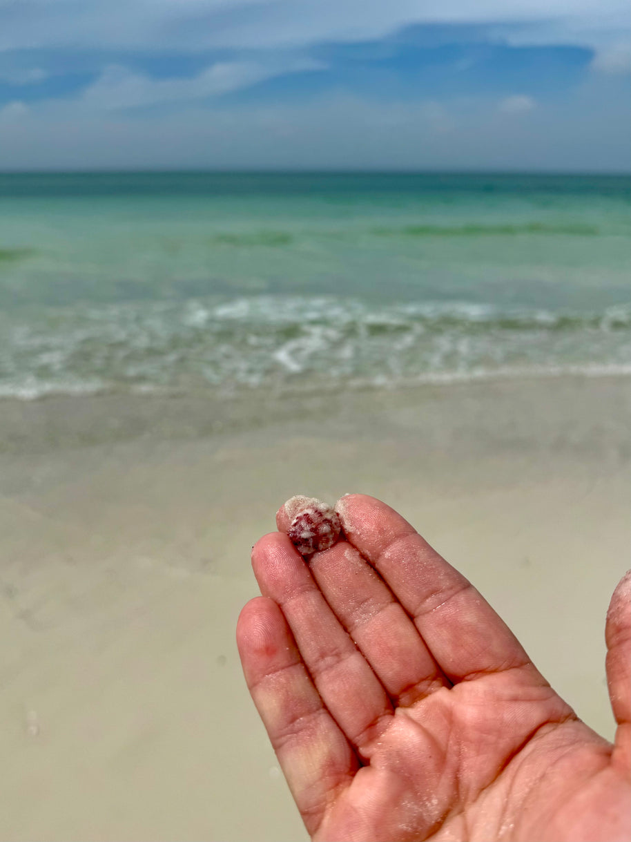 They Have an Energy to Them