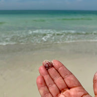 They Have an Energy to Them