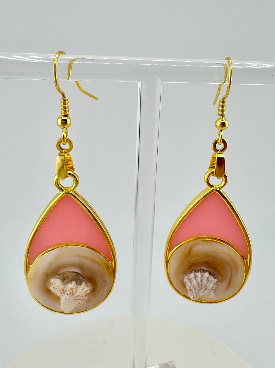 I Can See Only Shells