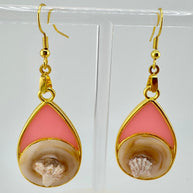 I Can See Only Shells