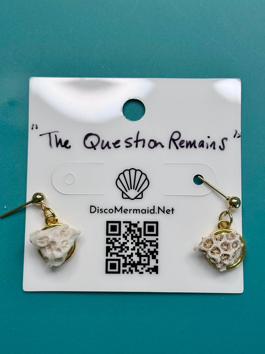 The Question Remains