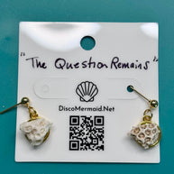 The Question Remains