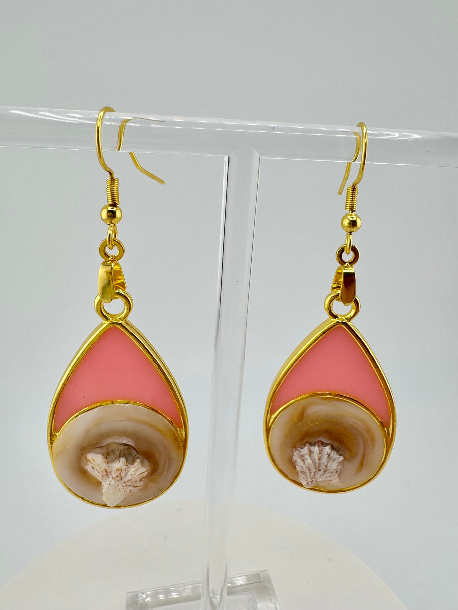 I Can See Only Shells