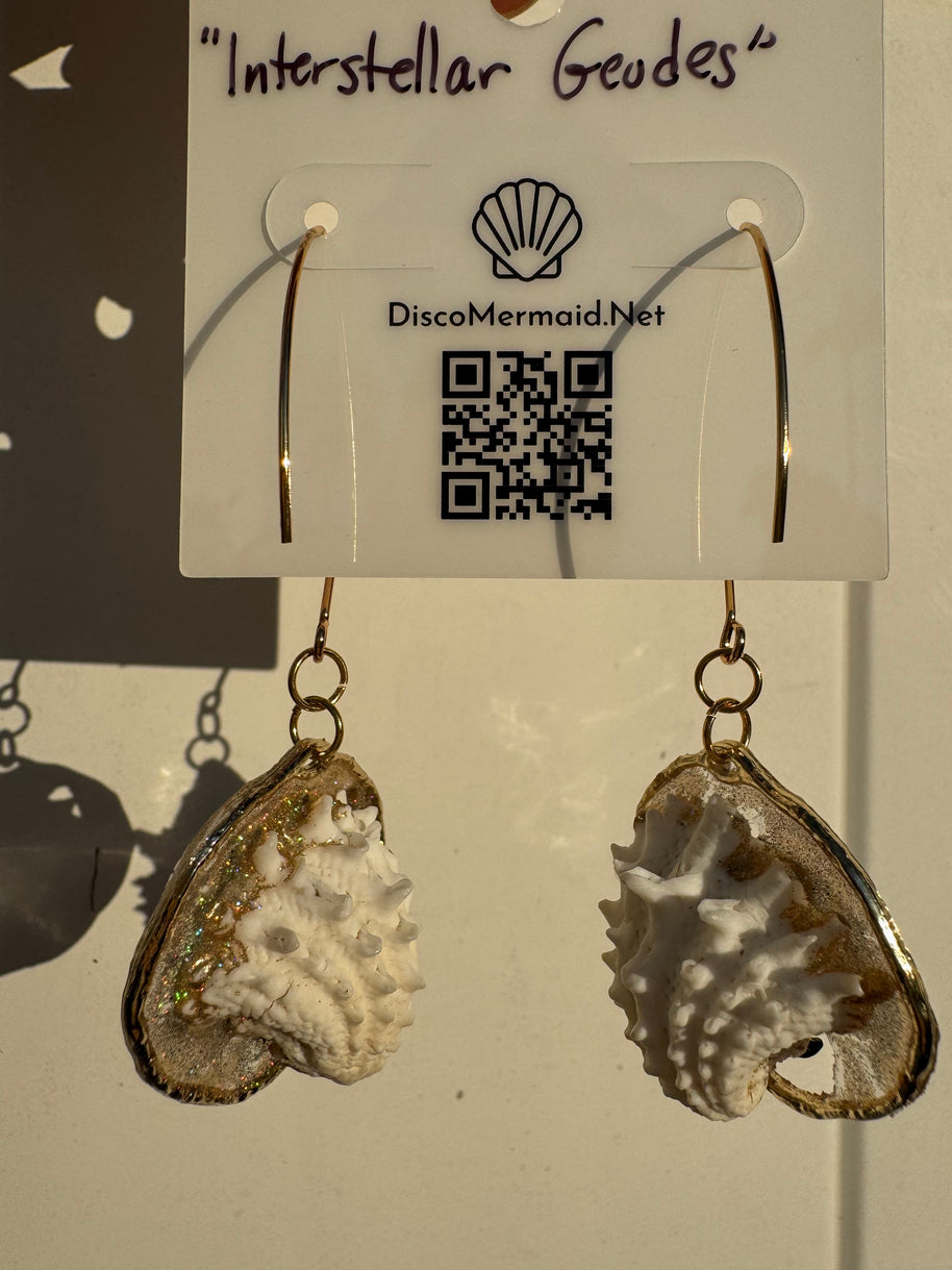 Interstellar Geodes