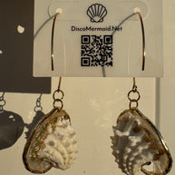 Interstellar Geodes