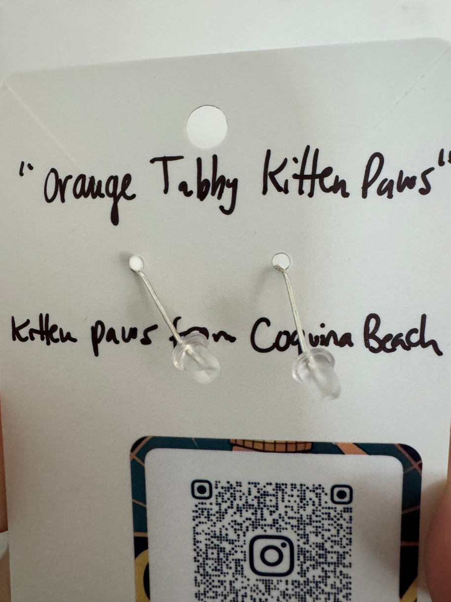 Orange Tabby Kitty Paws