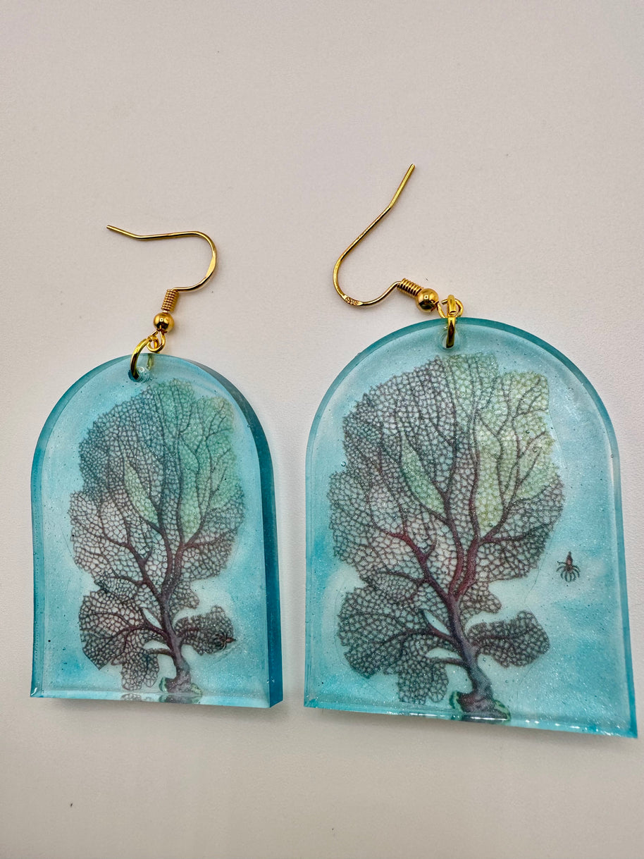 Coral Vs. Trees