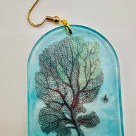 Coral Vs. Trees