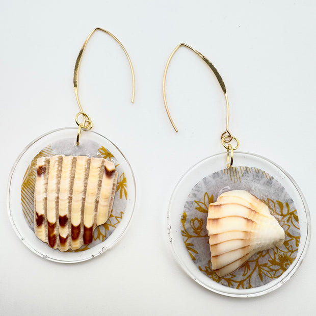 We Are Saltwater Bodies