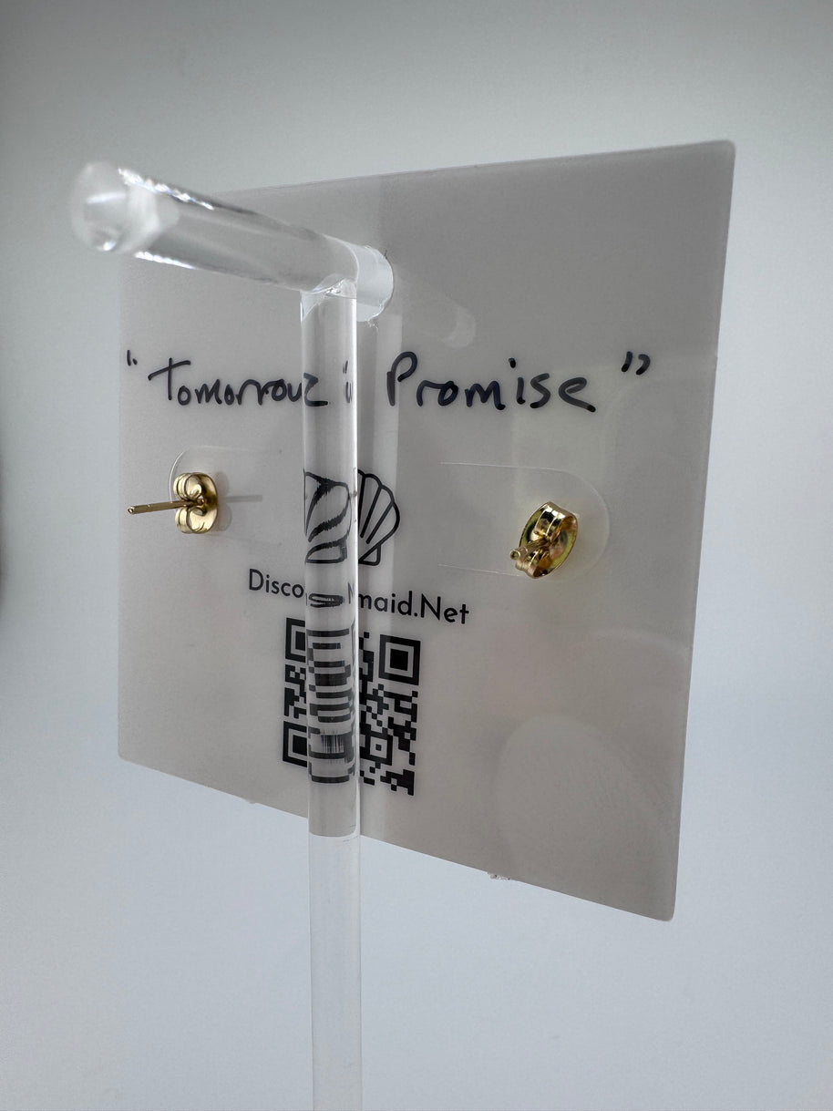 Tomorrow’s Promise