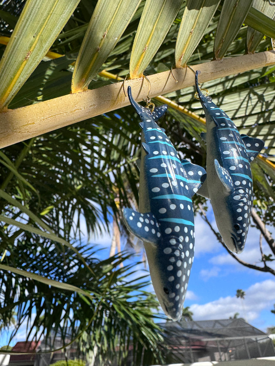 Shark Whale, Whale Shark