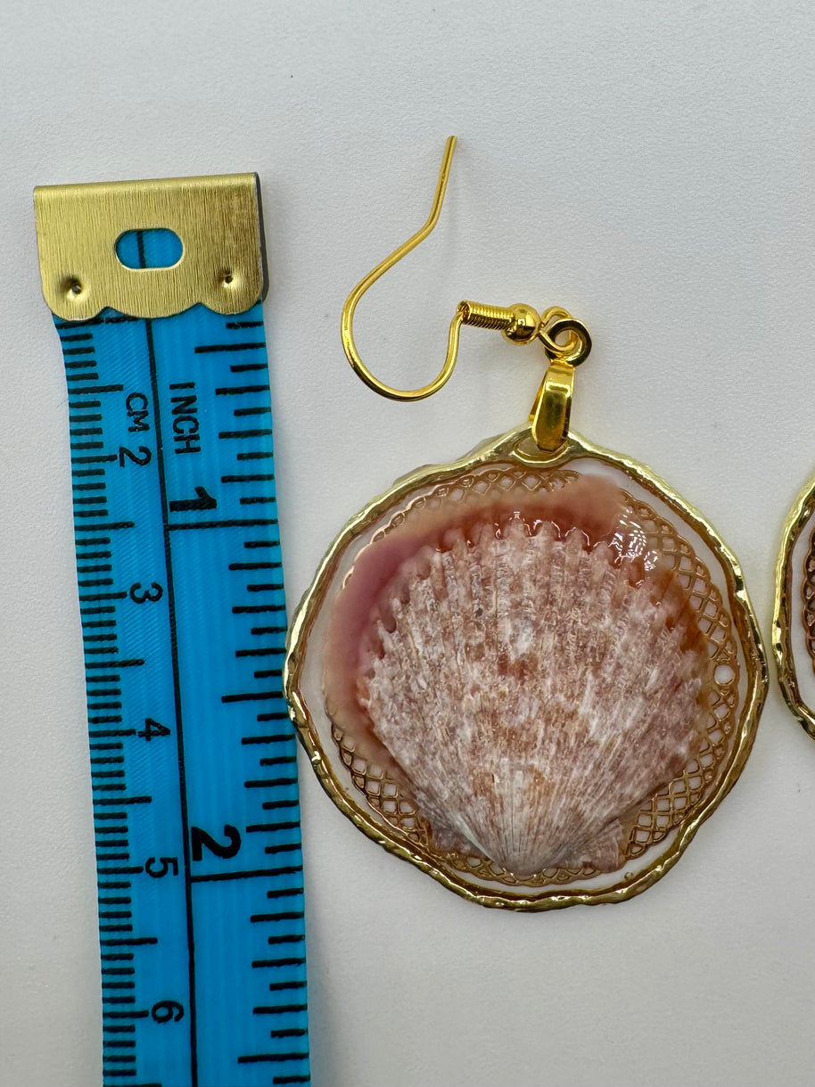 Whallup Scallop