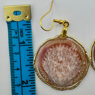 Whallup Scallop