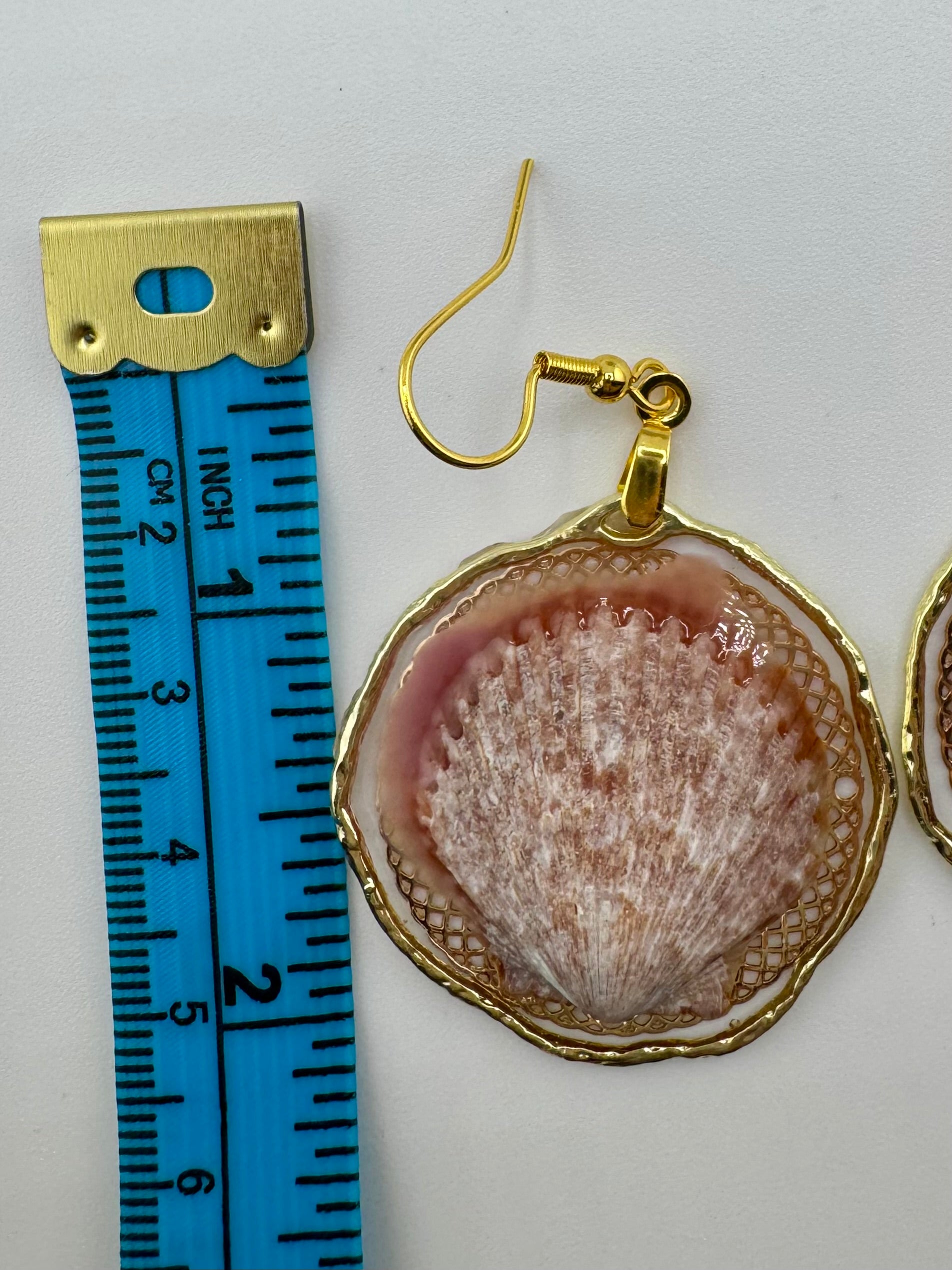 Whallup Scallop
