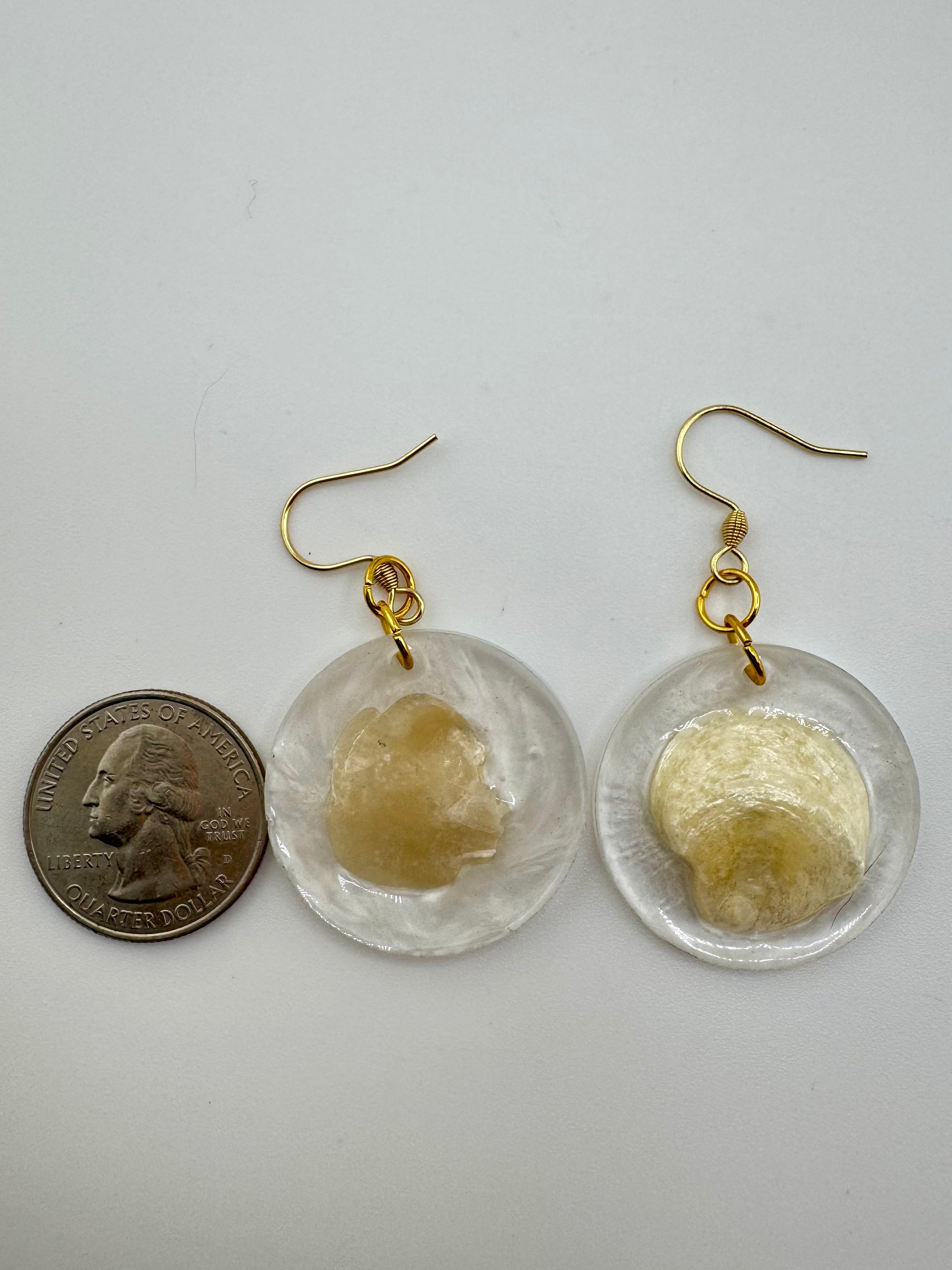 Opacities