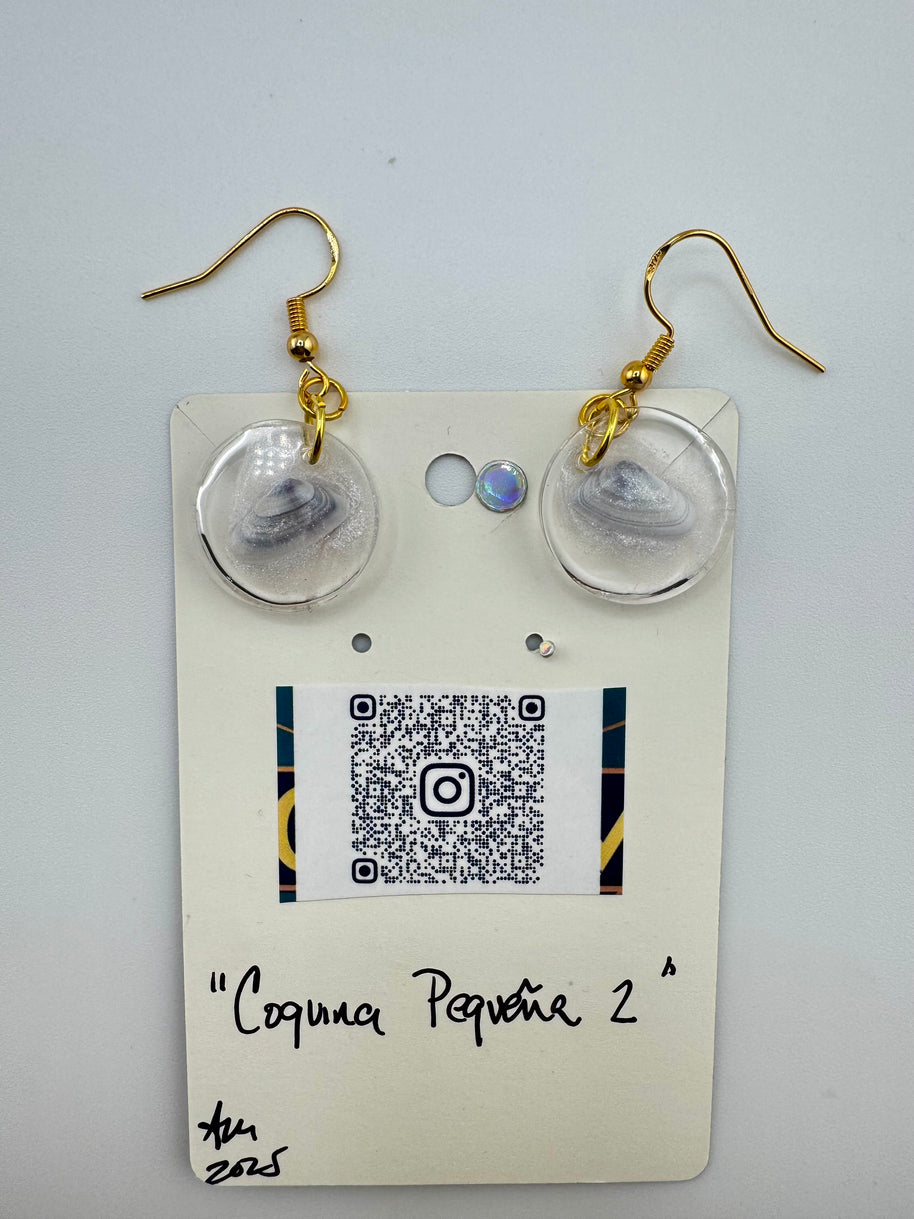 Coquina Pequeña 2