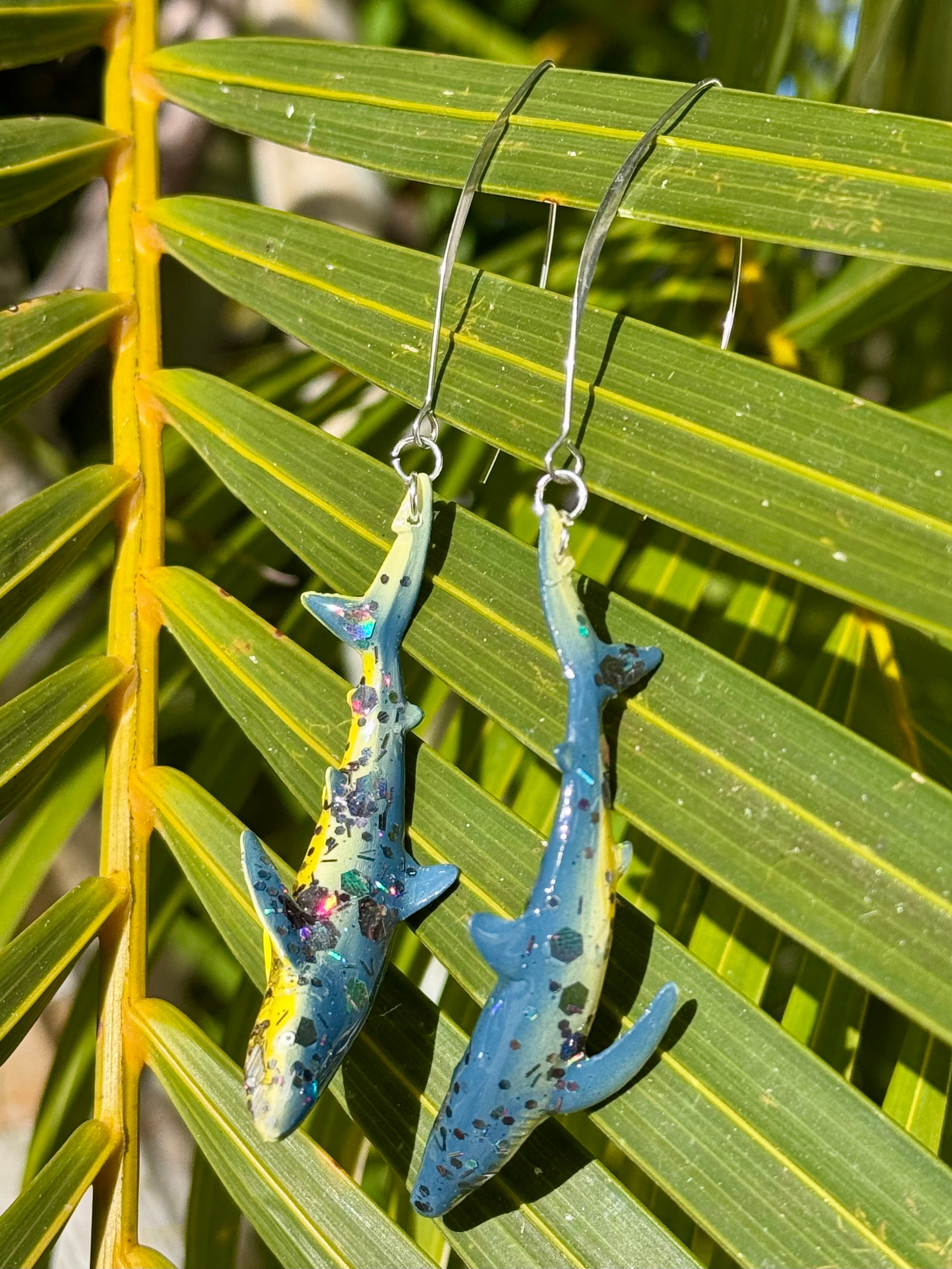 Reef Watchers