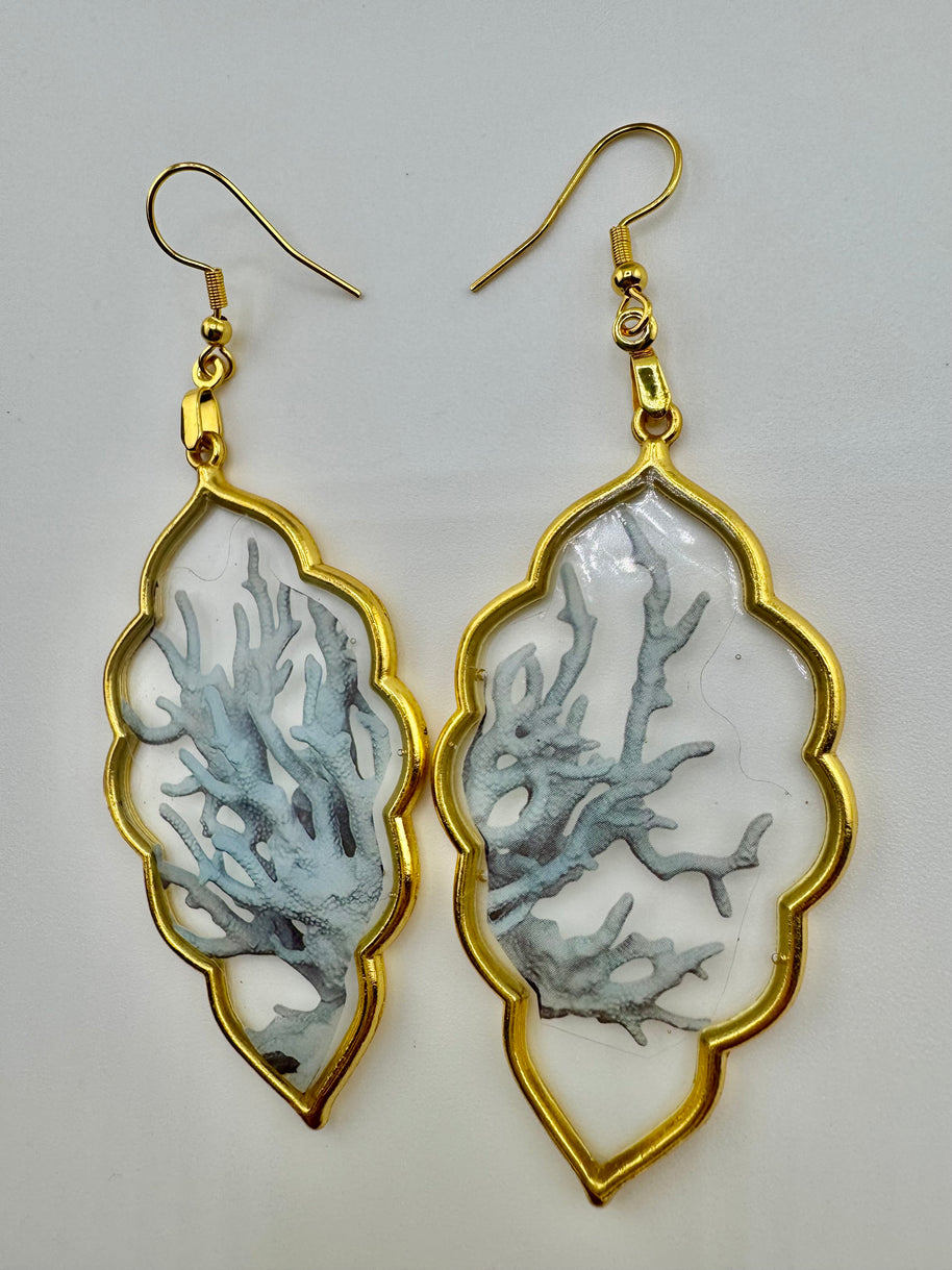 Coral Dendrites