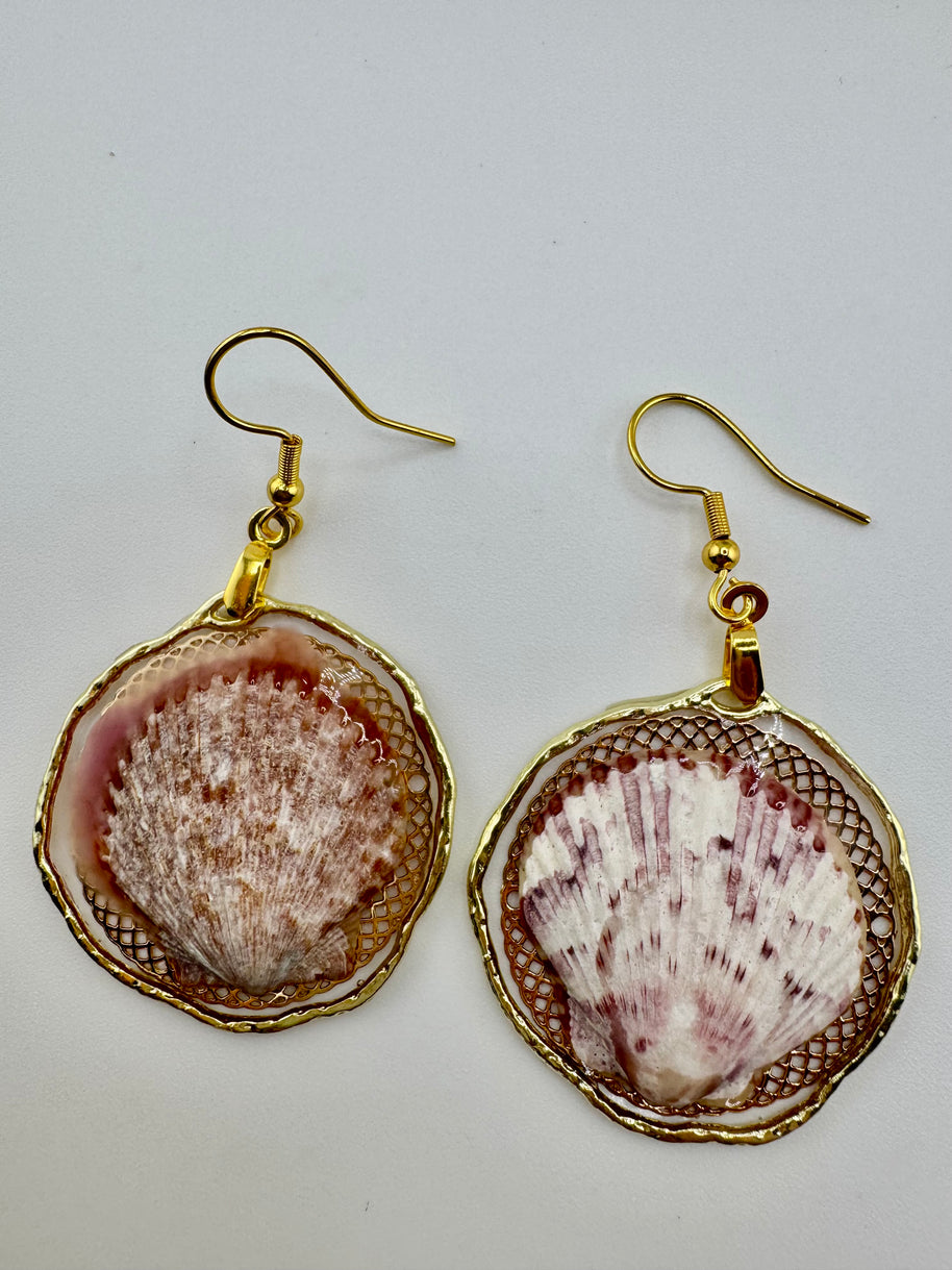 Whallup Scallop
