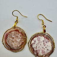 Whallup Scallop