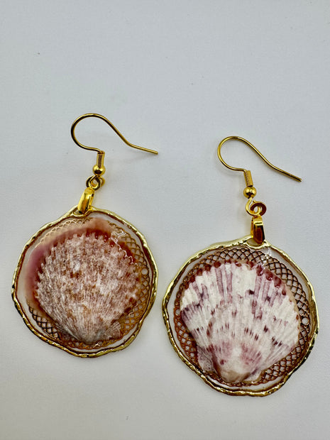 Whallup Scallop
