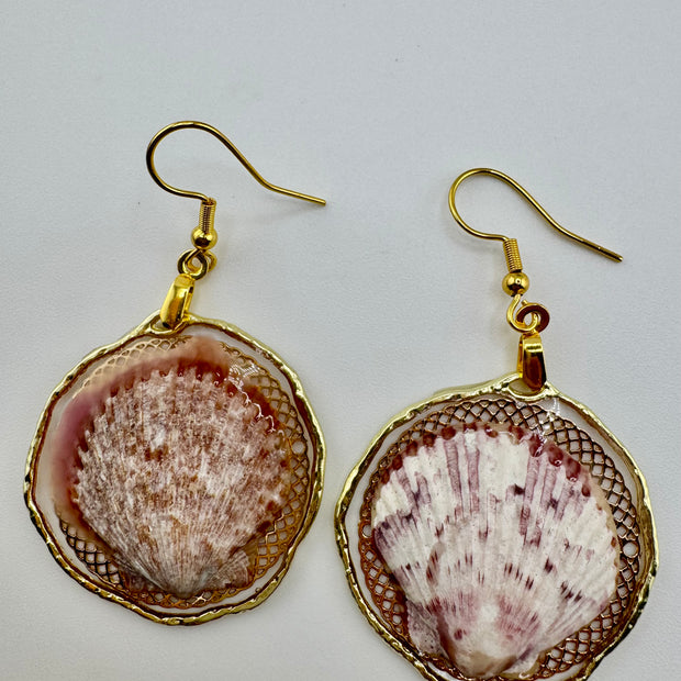 Whallup Scallop