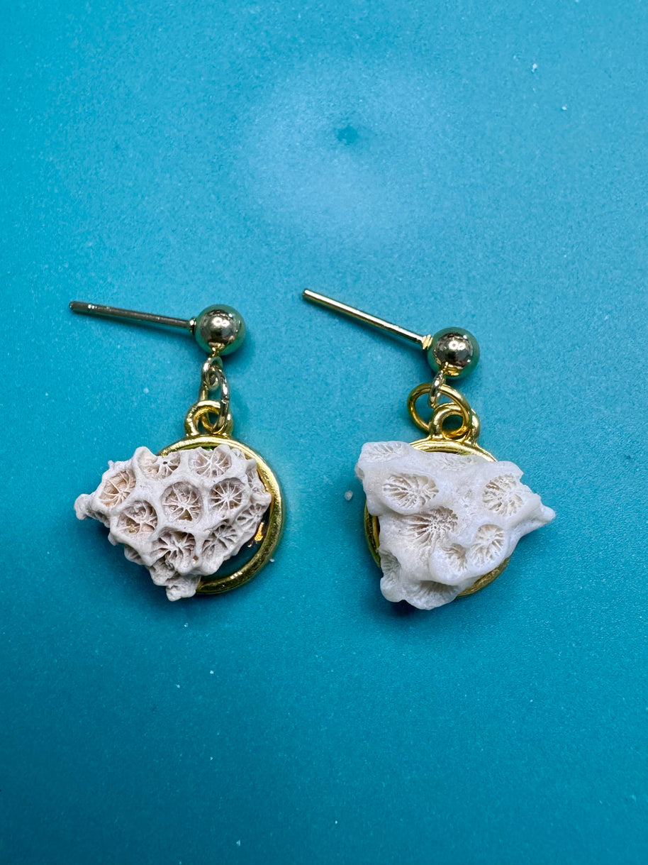 The Question Remains