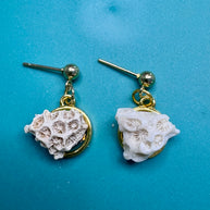 The Question Remains