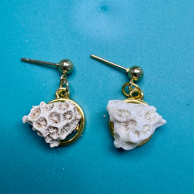 The Question Remains