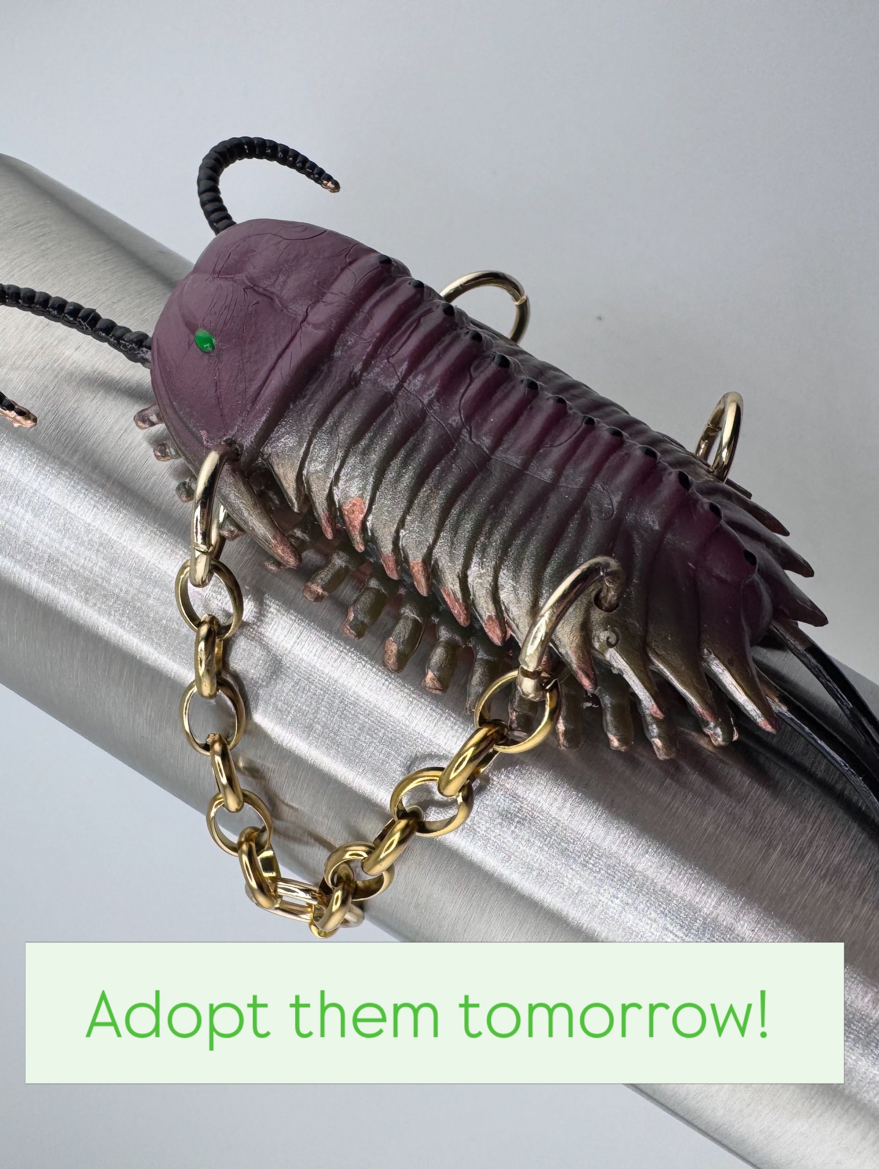 A Siren’s Source