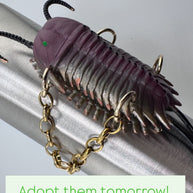 A Siren’s Source