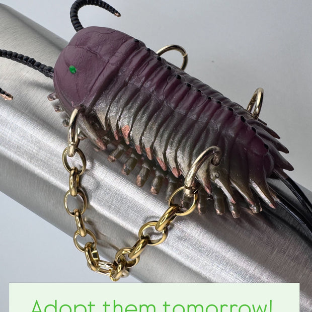 A Siren’s Source