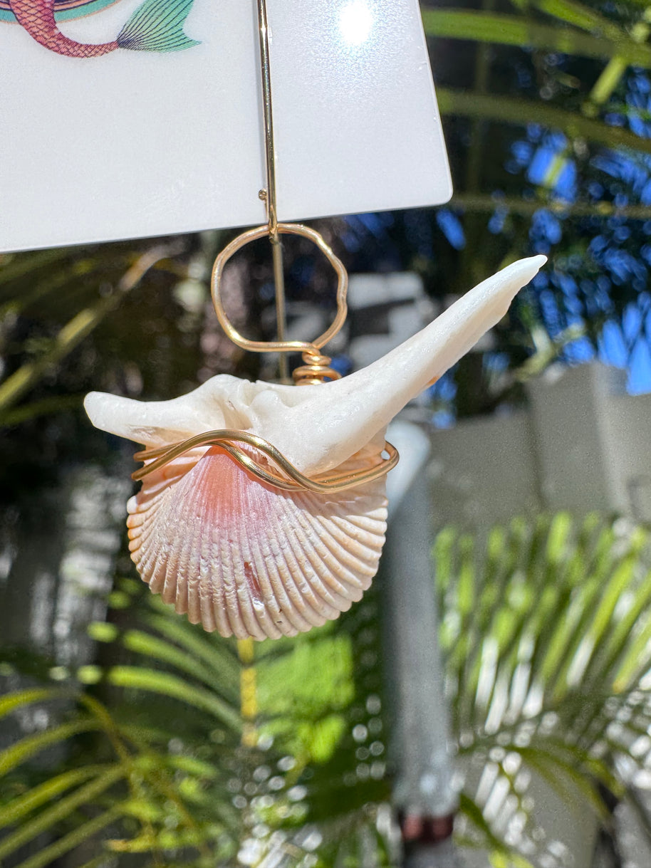 Soaring Angels
