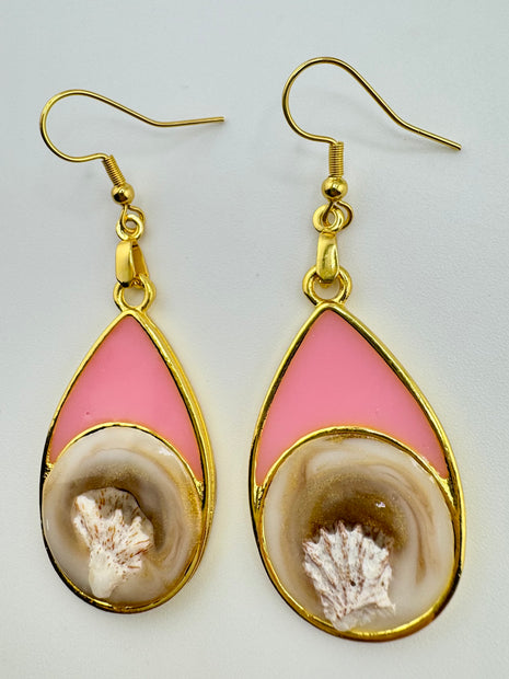 I Can See Only Shells